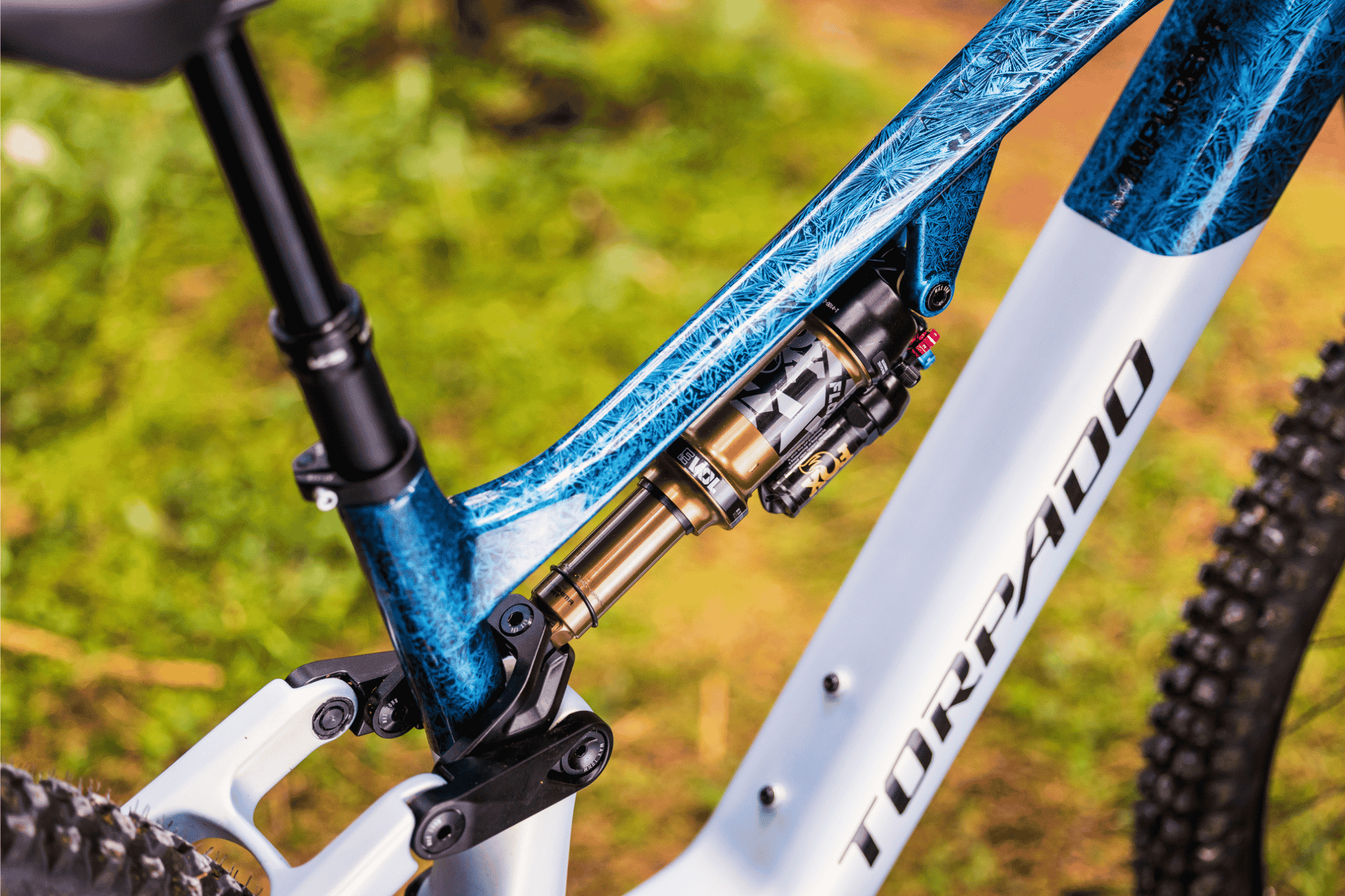 Torpado presenta la nuova enduro elettrica AMB-X, e sceglie Bosch per la gamma 2027 4 AMB-X